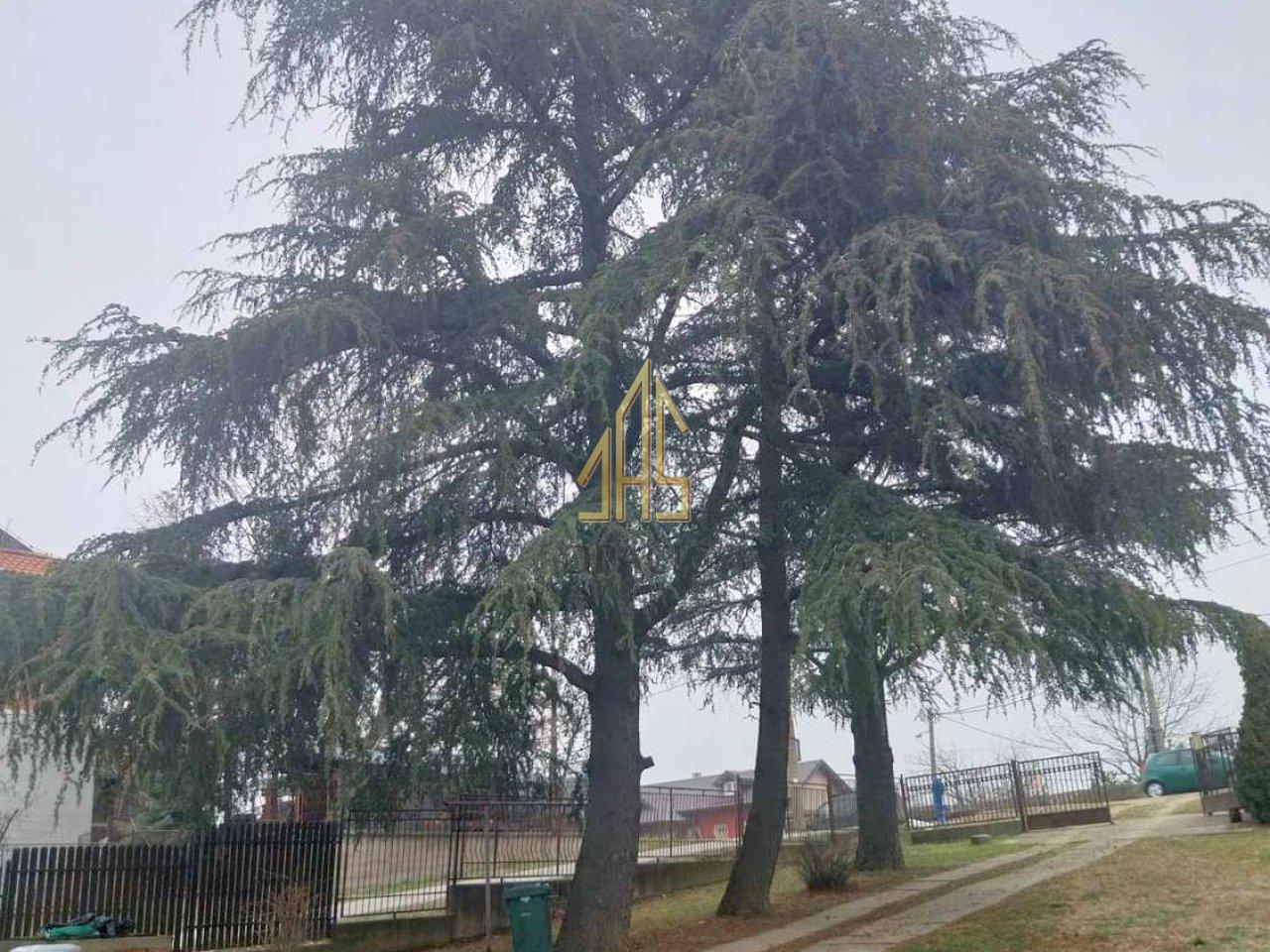 slika 2