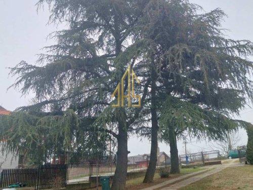 KUCA >5.0, 256 m2 slika 2